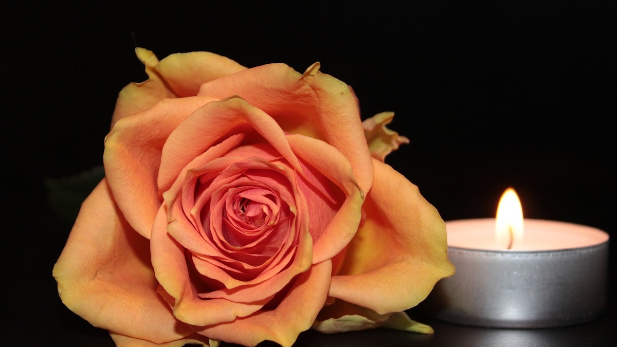 A rose and a tea light