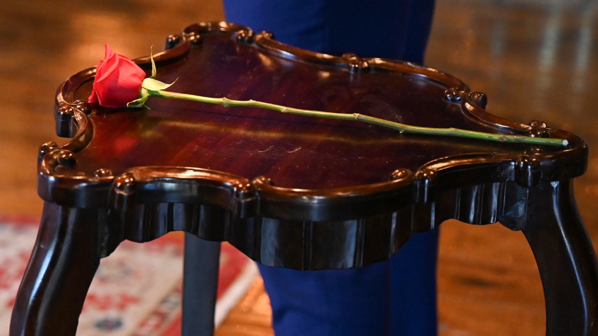 Bachelor rose