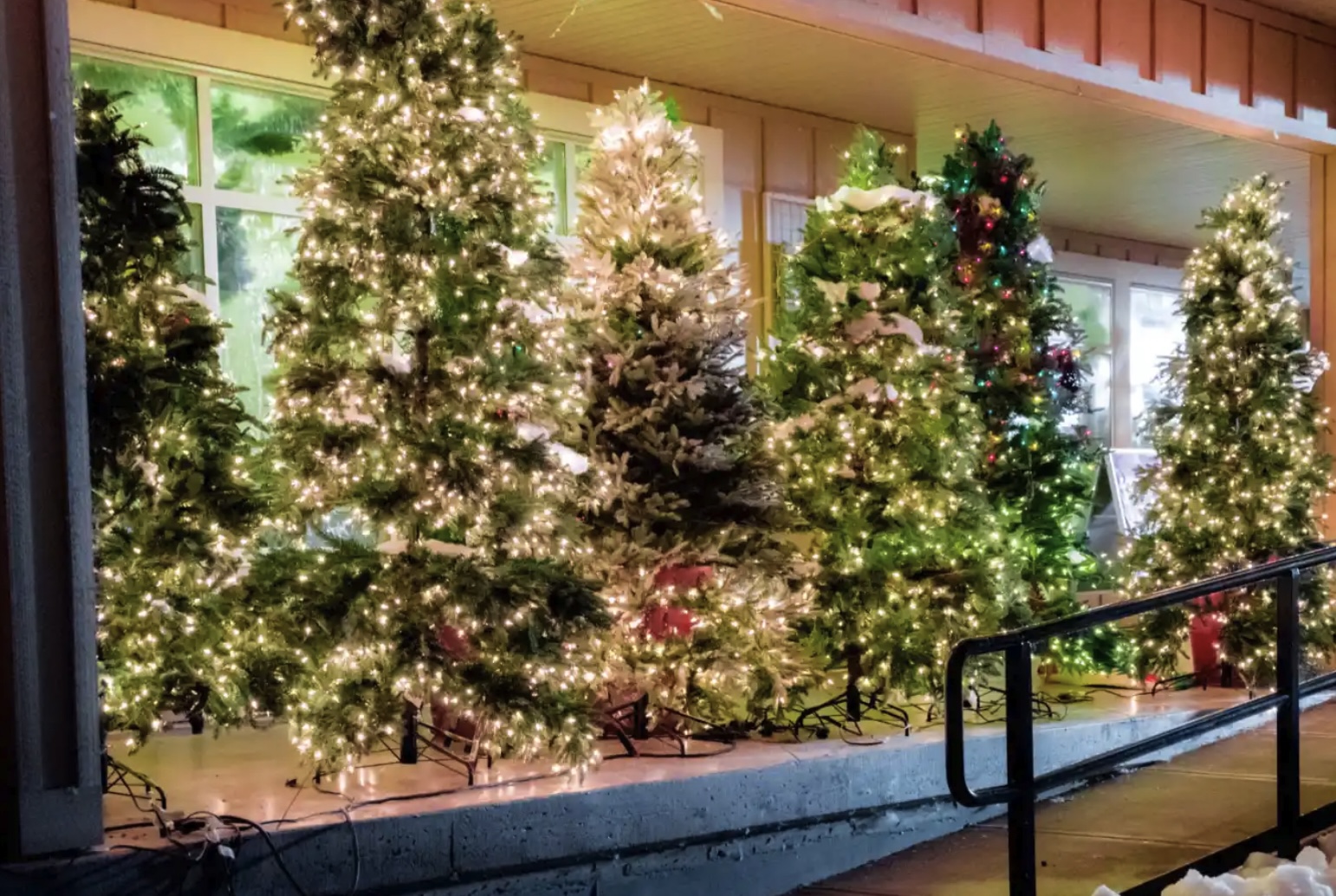 Hallmark Christmas Ratings