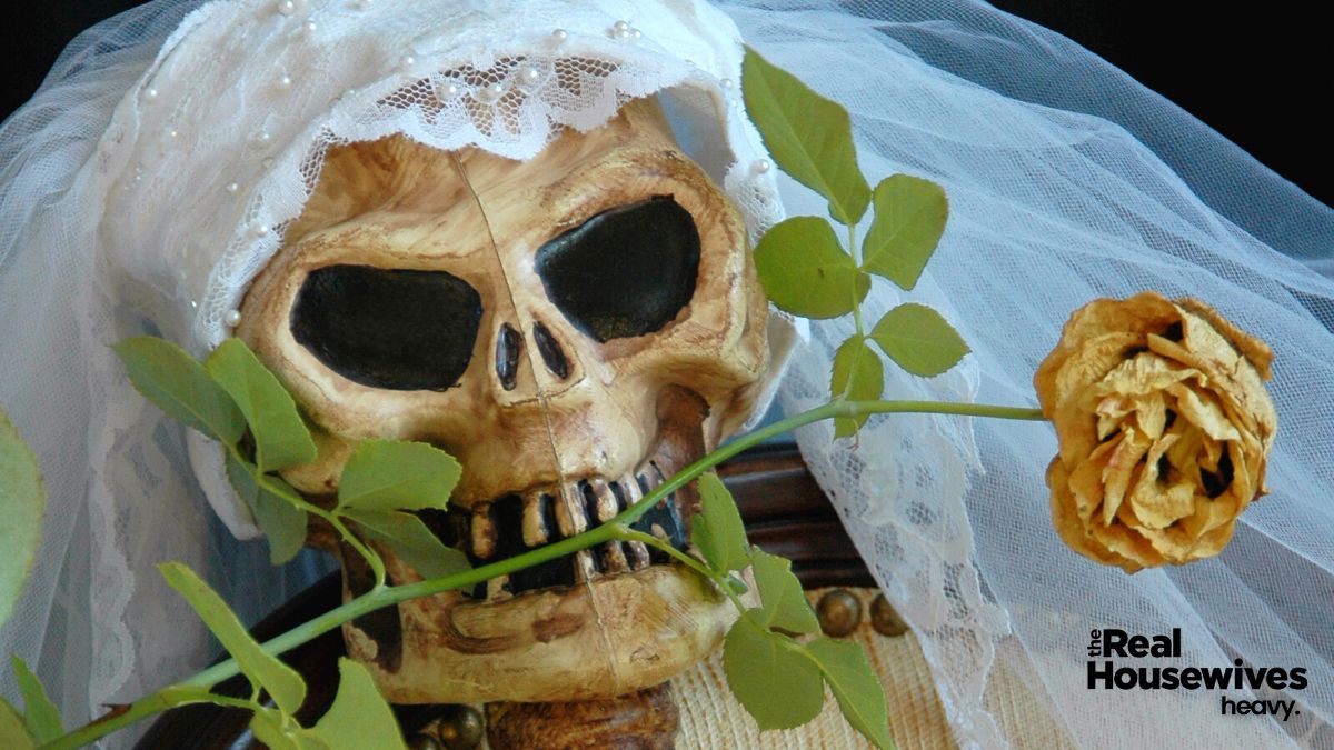 A skeleton's head