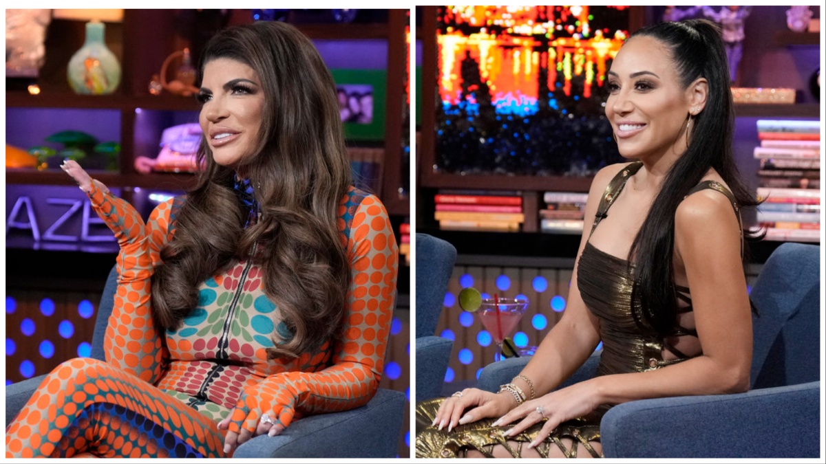 Teresa Giudice and Melissa Gorga.