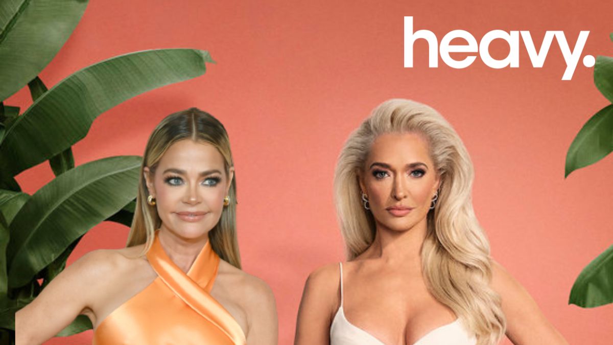Denise Richards Erika Jayne