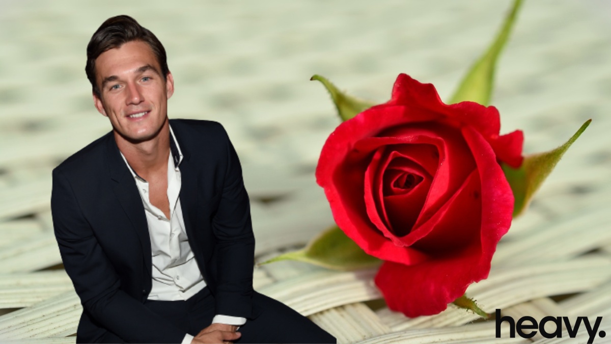 Tyler Cameron and a red rose.