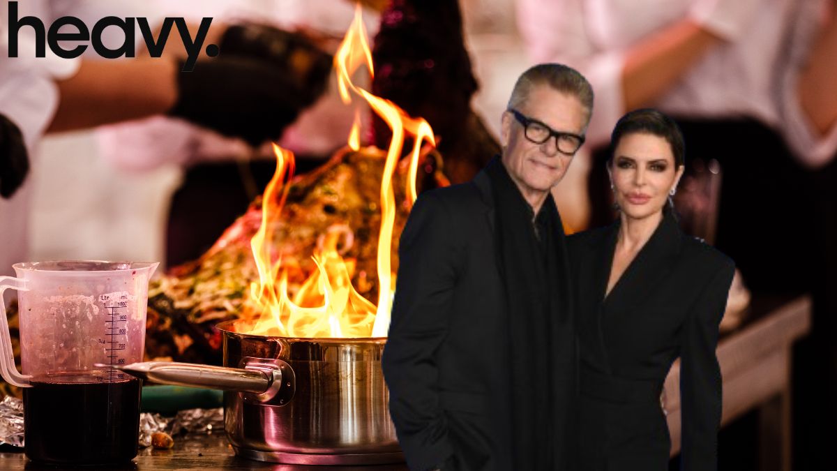 Harry Hamlin and Lisa Rinna