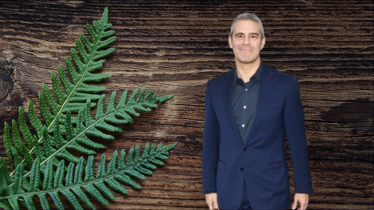 Andy Cohen.