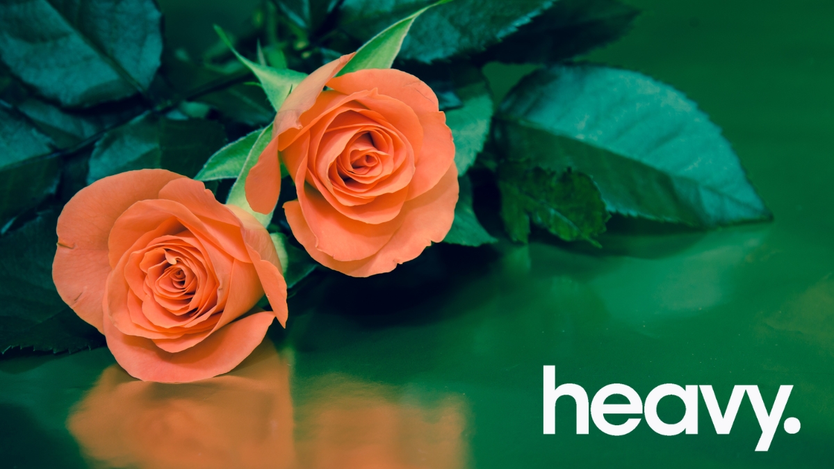 Peach colored roses