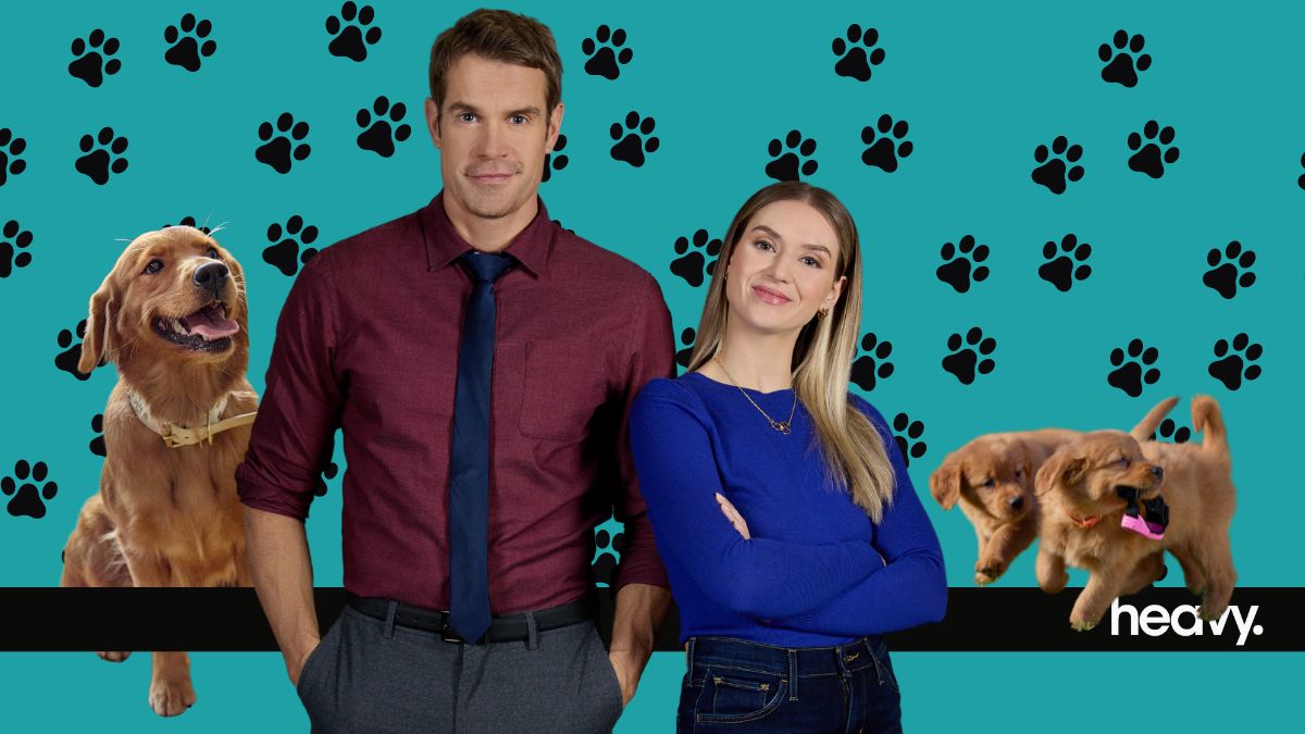 "Everything Puppies"