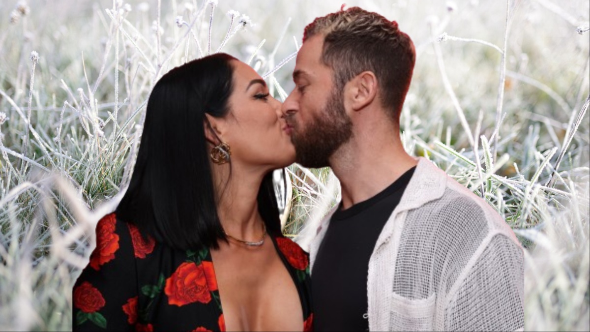 Nikki Garcia and Artem Chigvintsev.