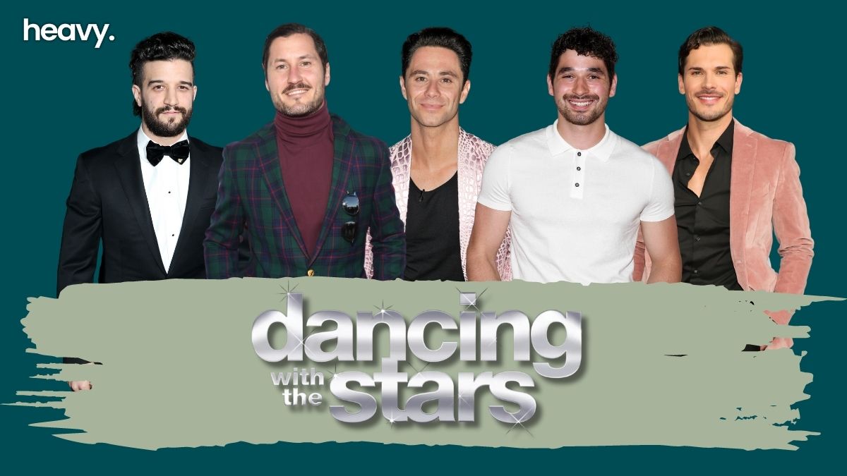 DWTS male pros.