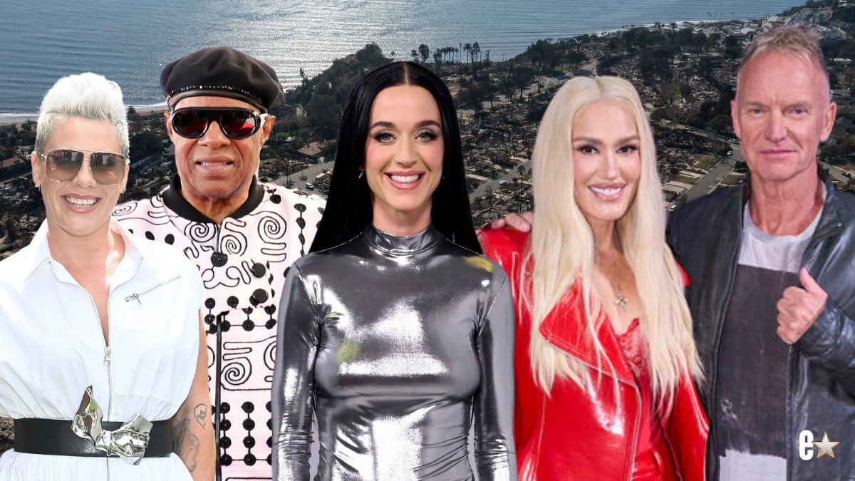 Pink, Stevie Wonder, Katy Perry, Gwen Stefani, Sting
