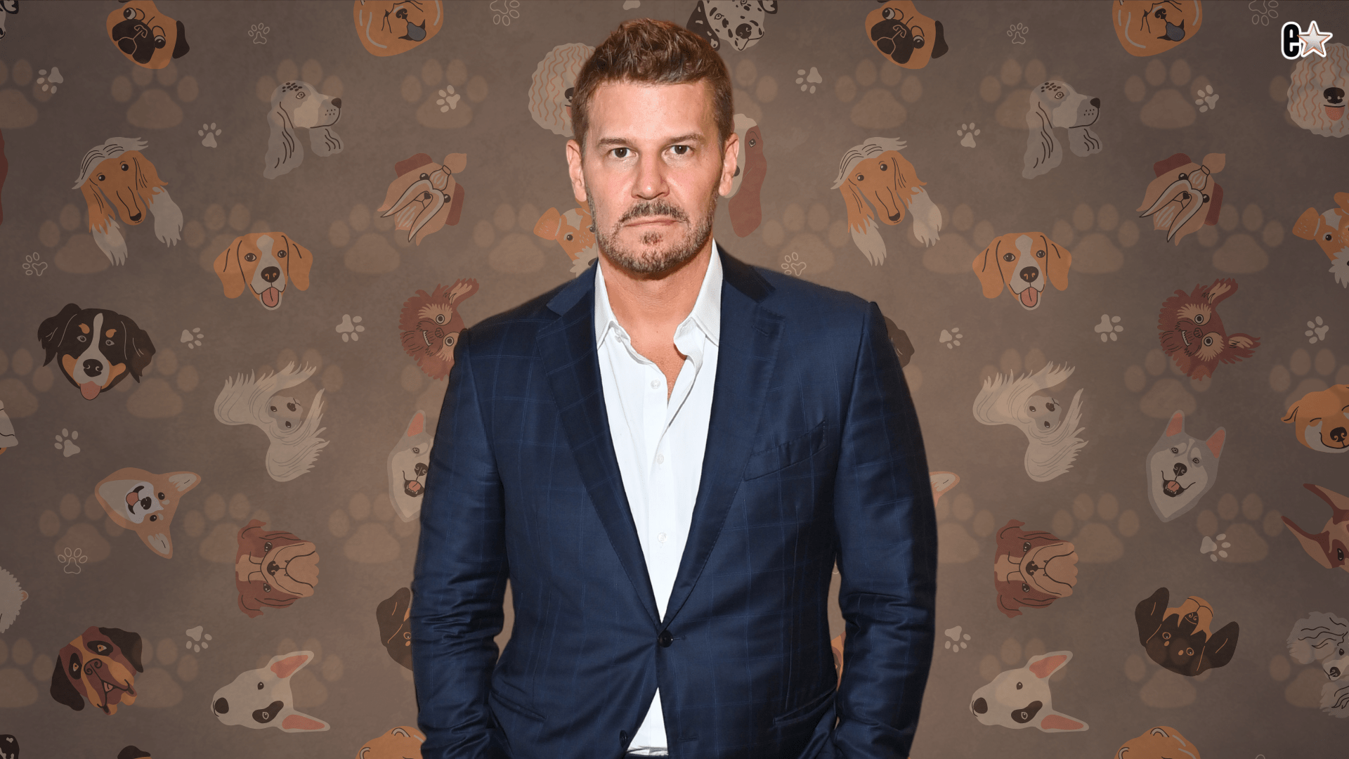 David Boreanaz Dog
