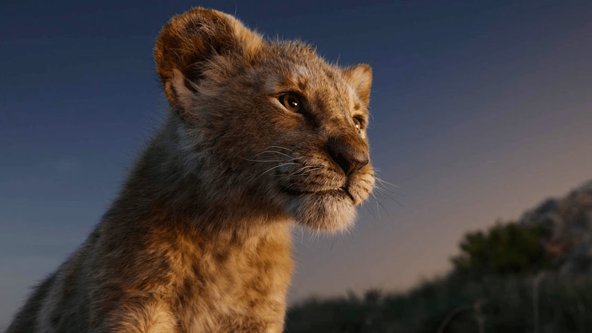 Mufasa: The Lion King