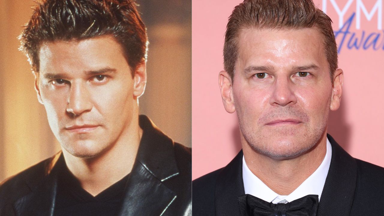 david boreanaz then and now collage