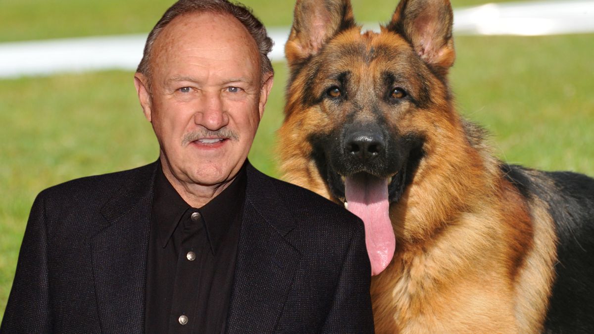 gene hackman dogs