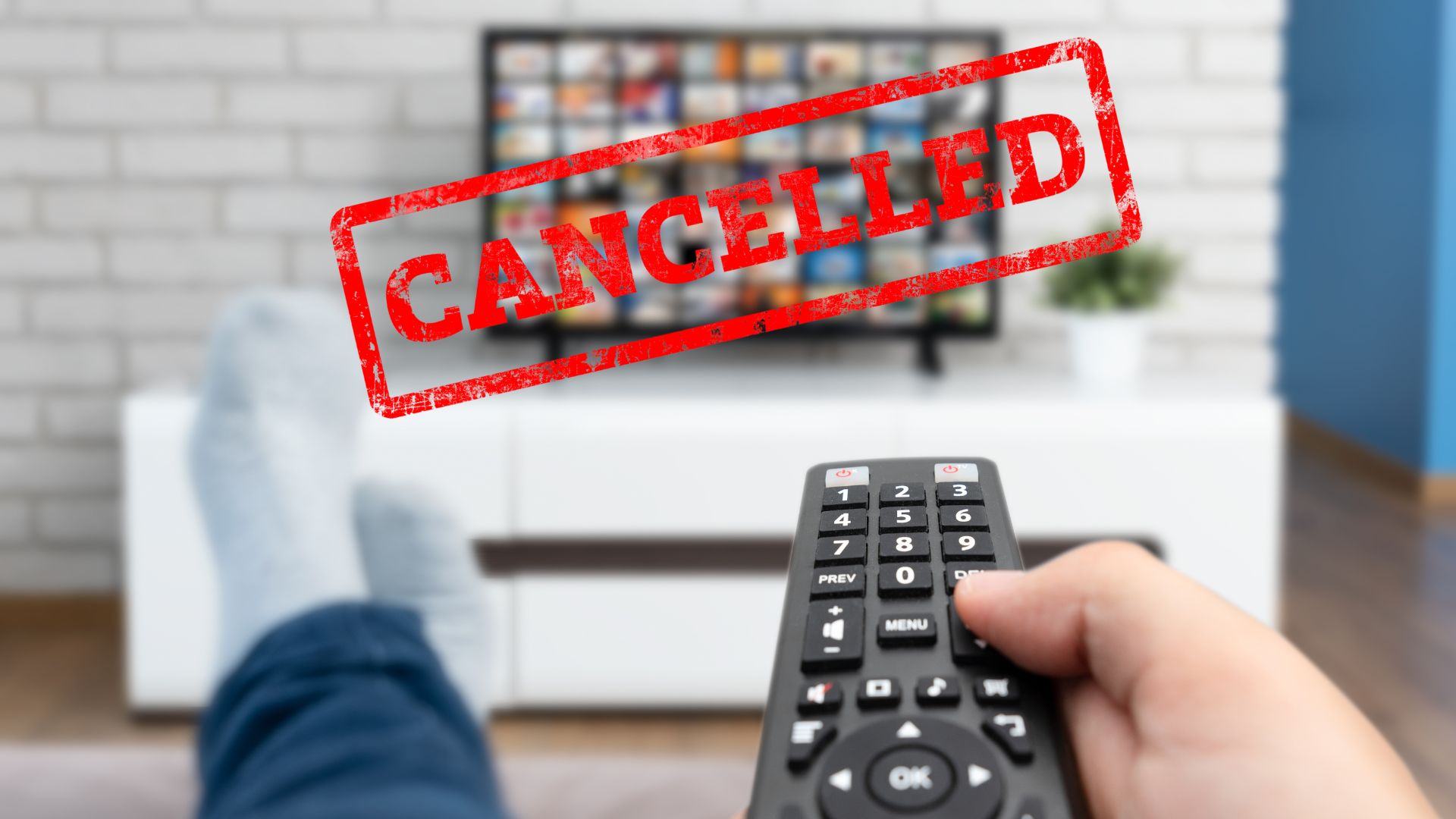 All the Shows Cancelled So Far in 2025