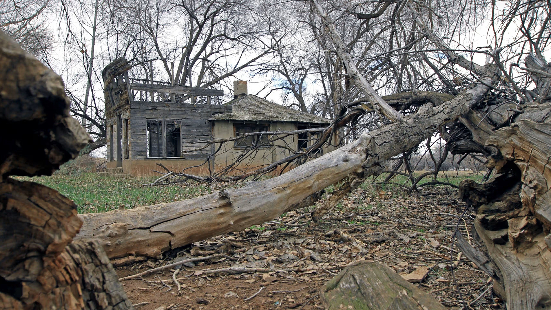 skinwalker ranch