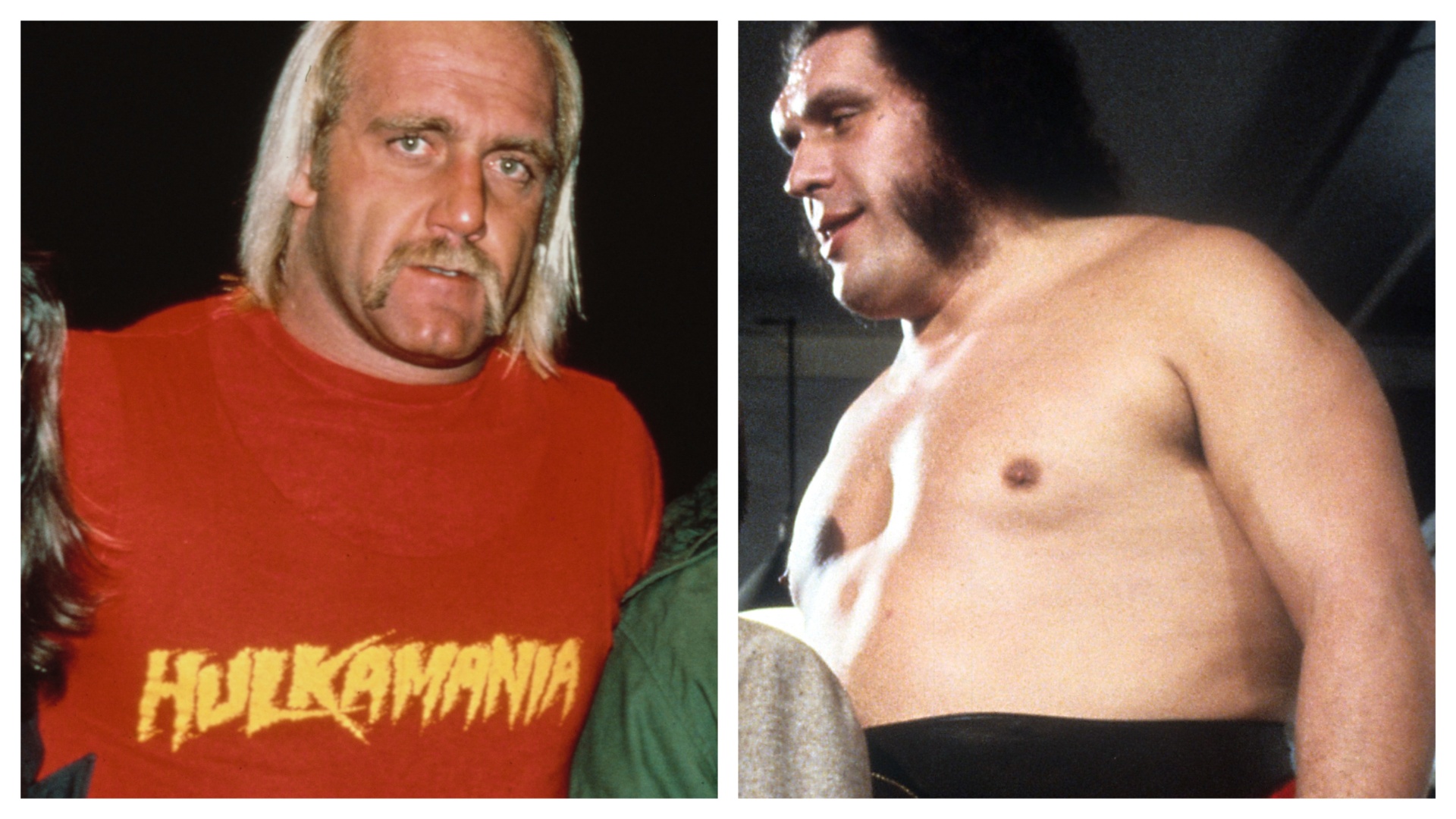 Hulk Hogan/Andre the Giant