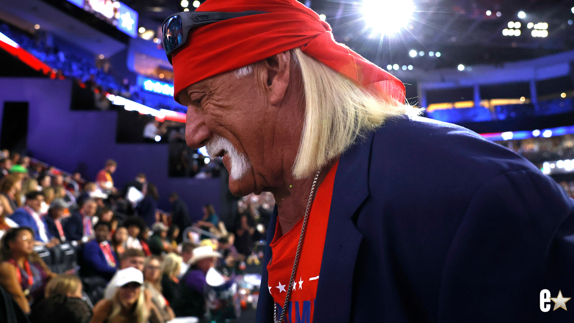 Professional entertainer and wrestler Hulk Hogan