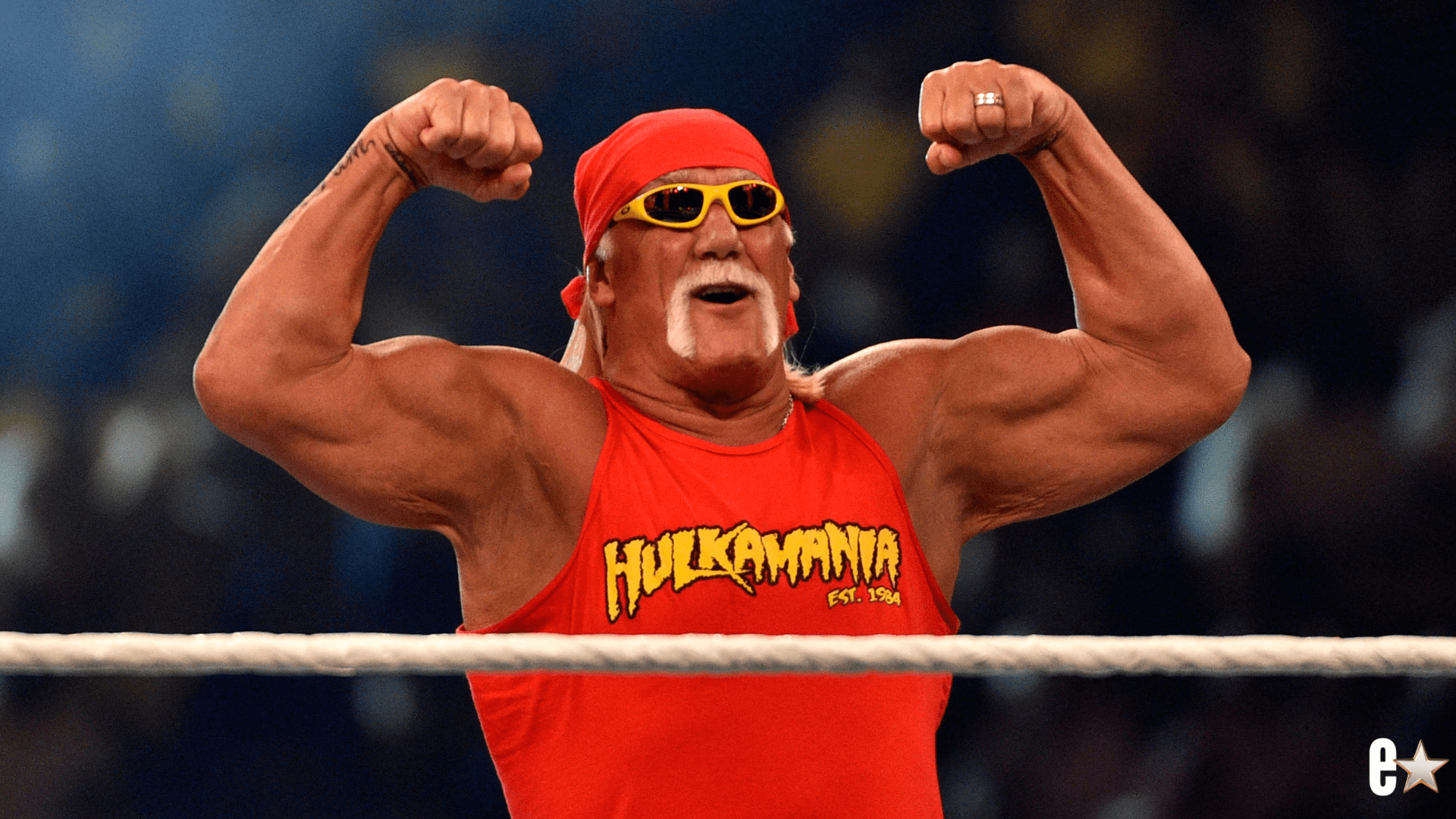 Wrestling legend Hulk Hogan