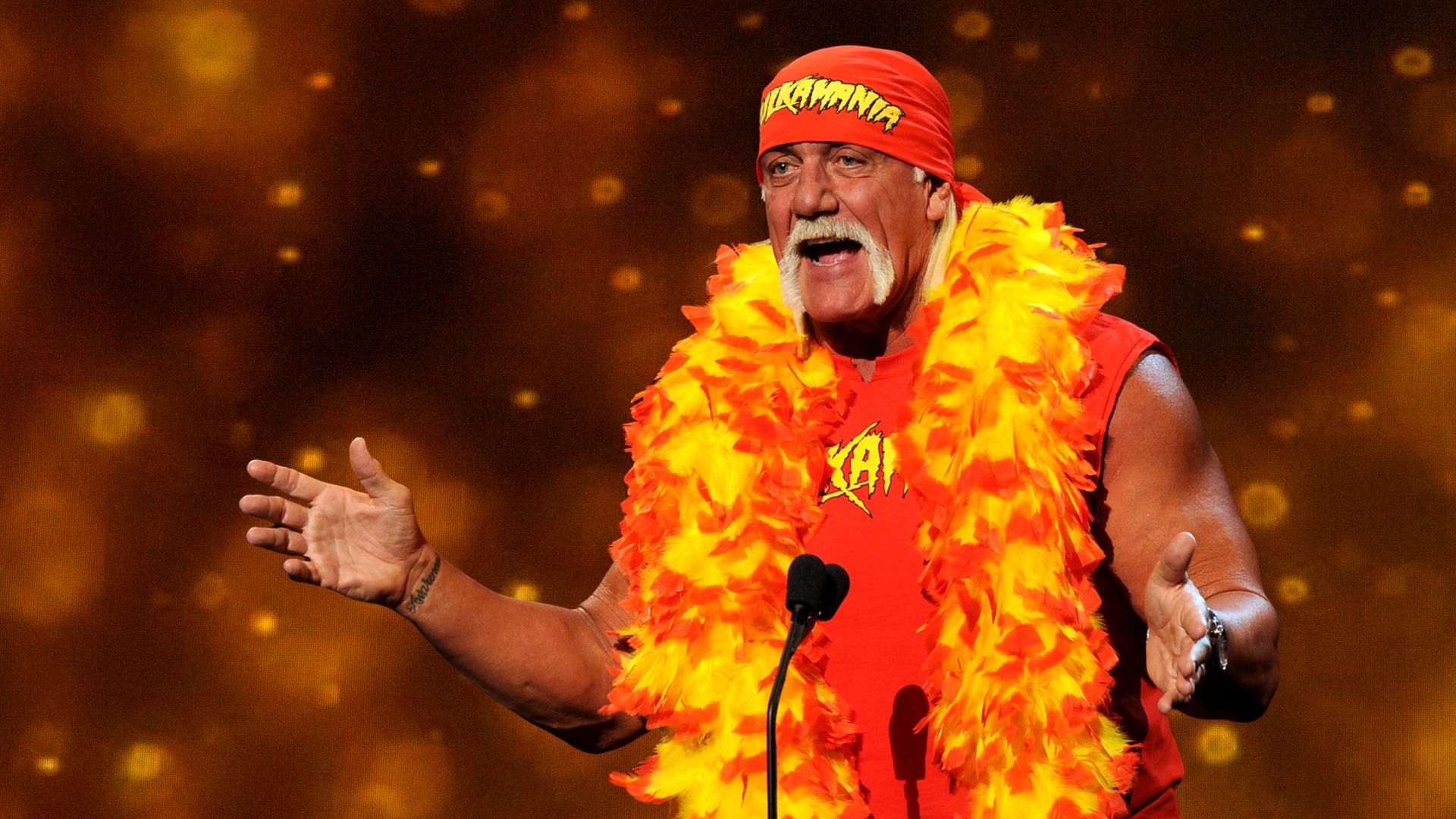 Hulk Hogan