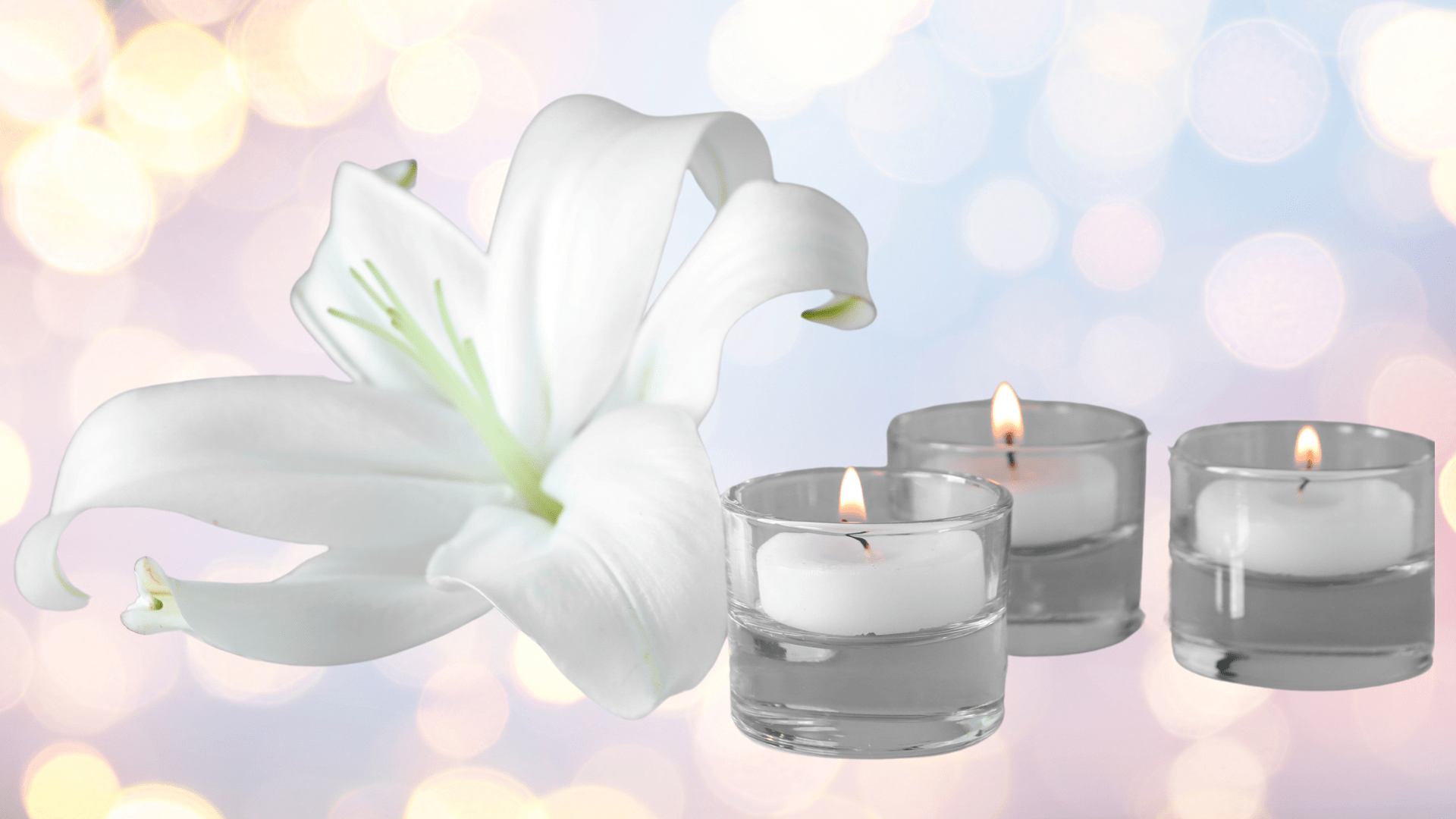 a white flower with three white candles