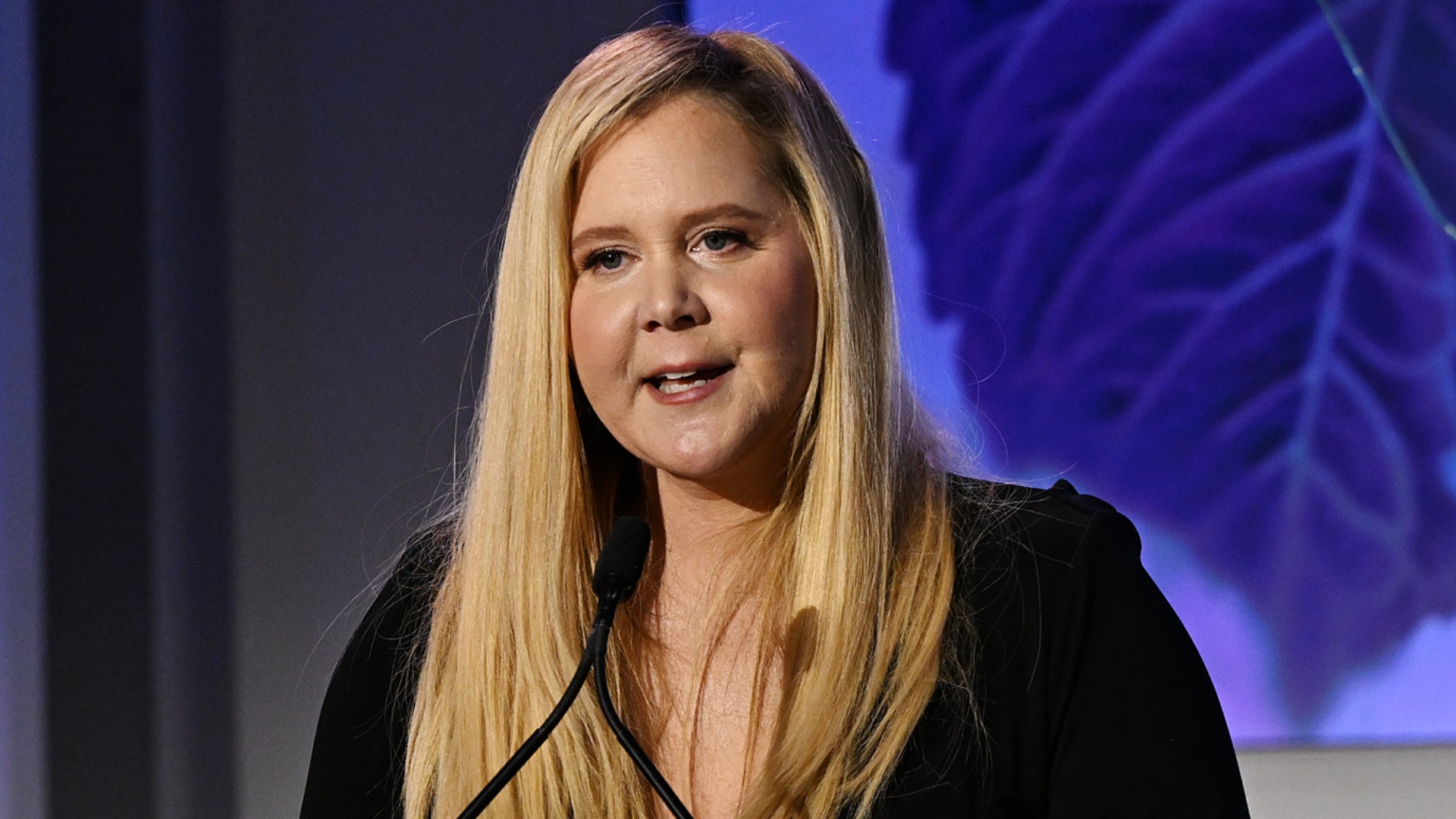 Amy Schumer gives speech