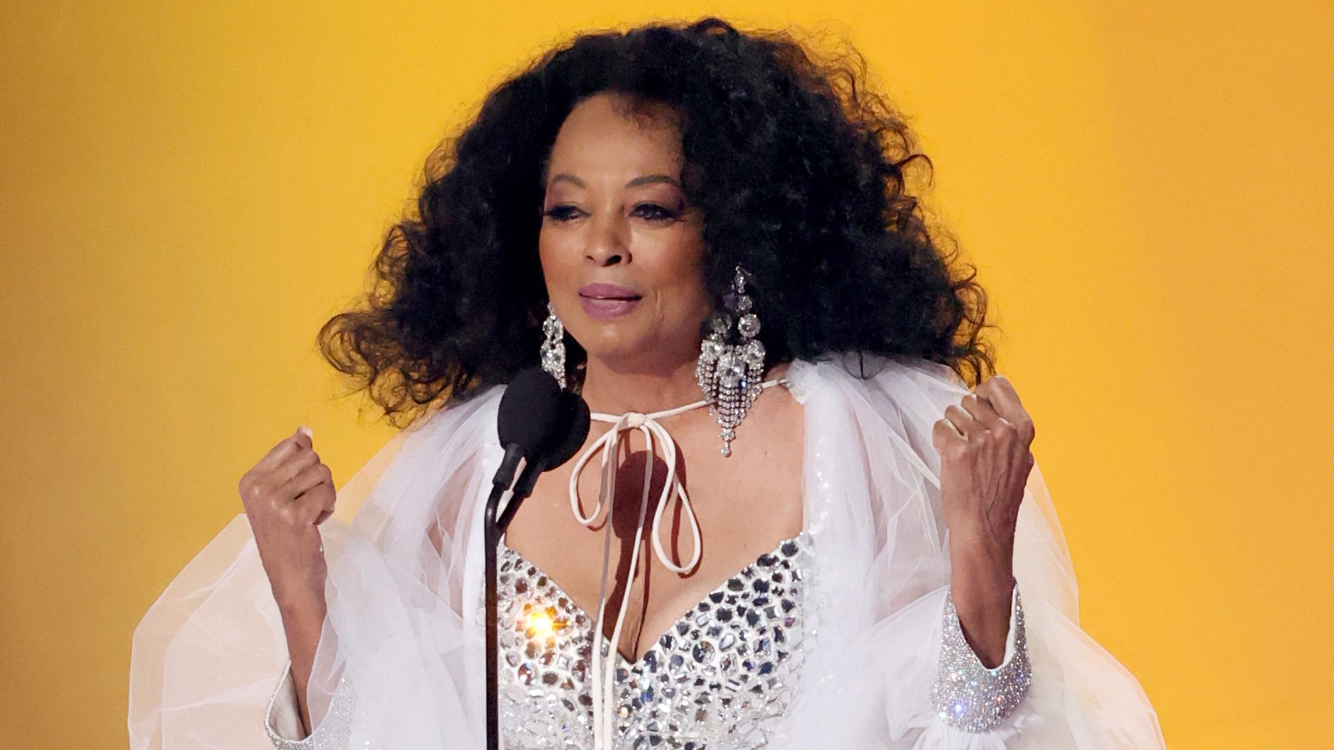 Diana Ross royal caribbean