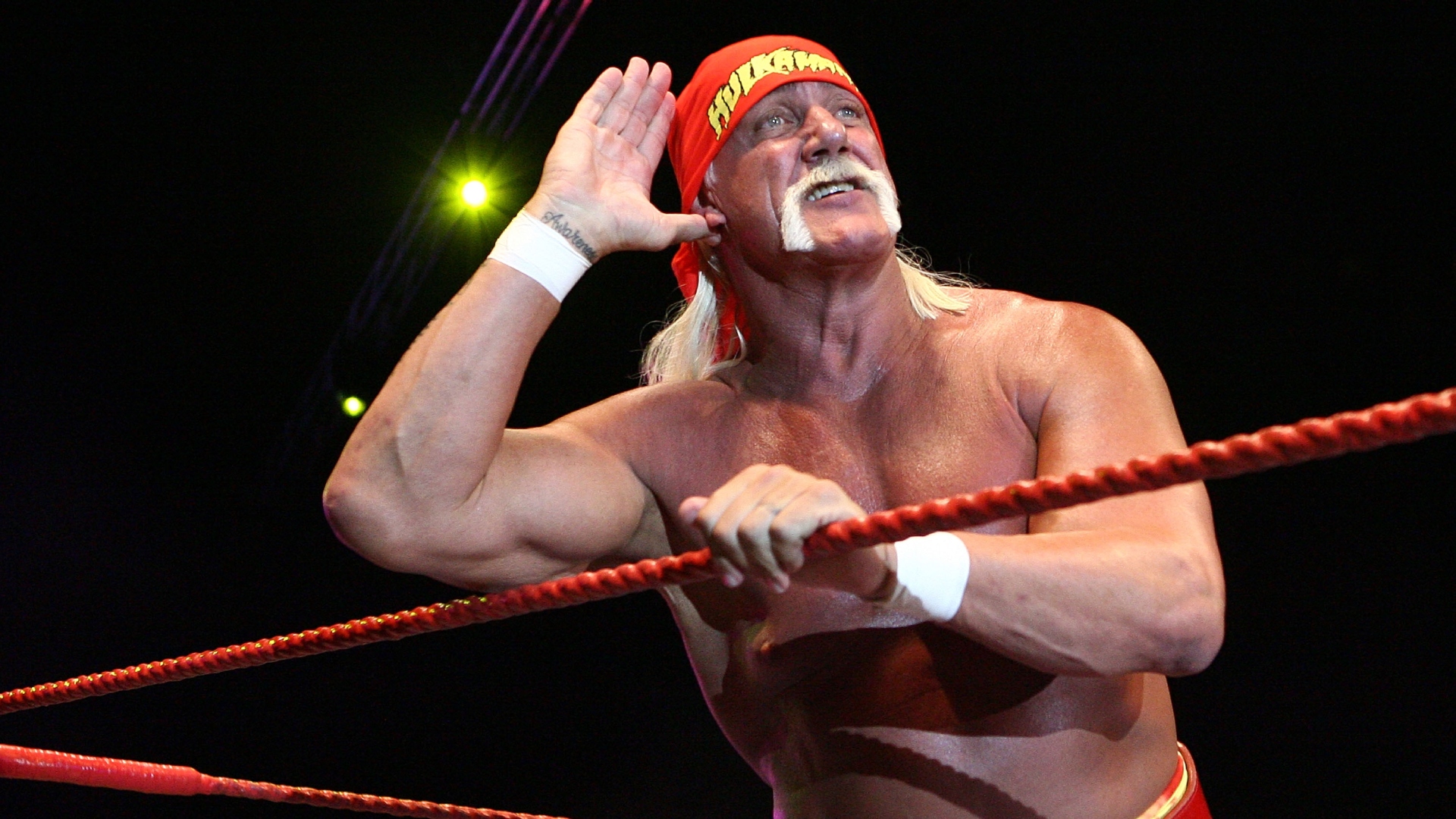 Hulk Hogan in the WWE ring