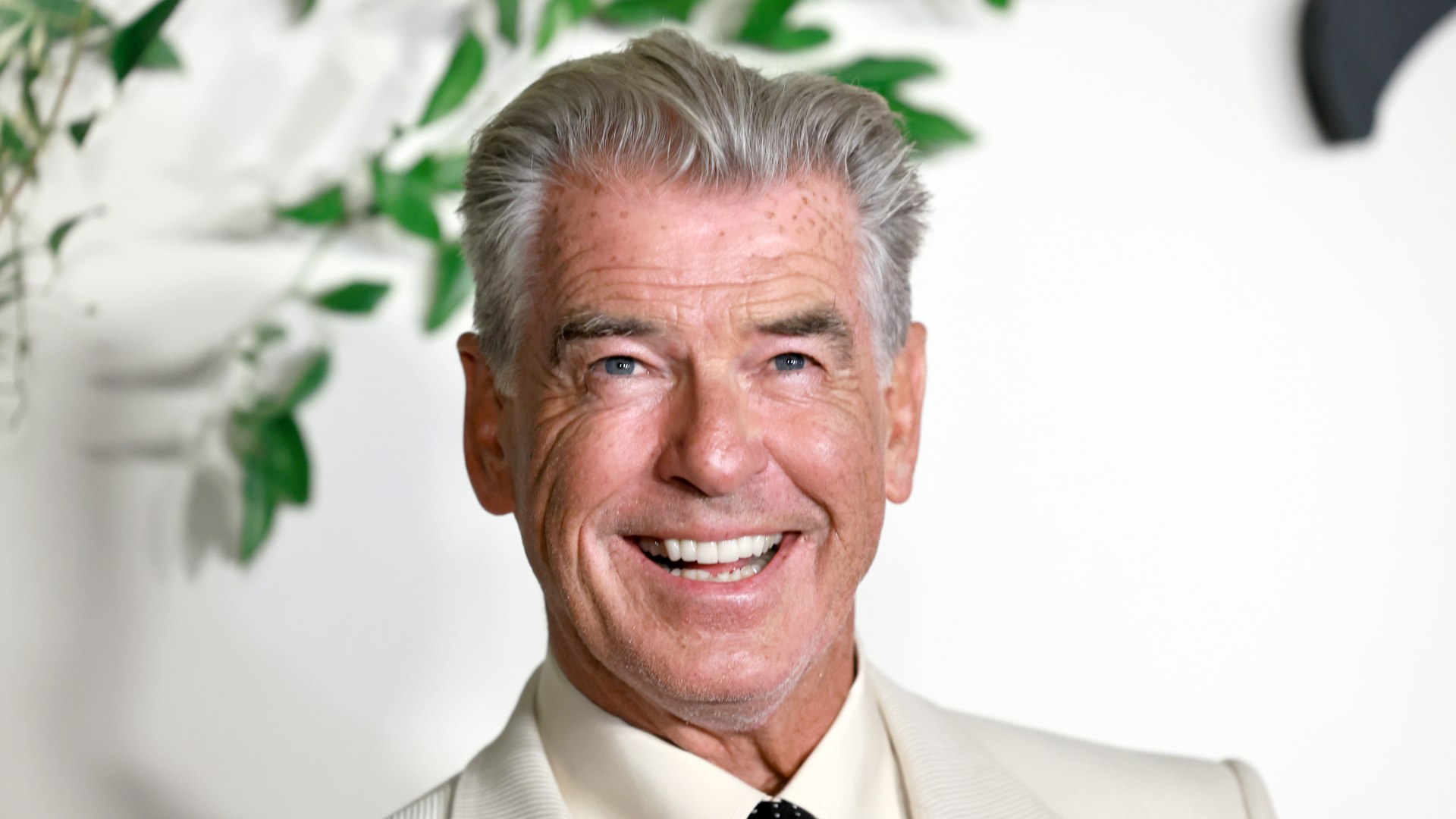 pierce brosnan The Thursday Murder Club