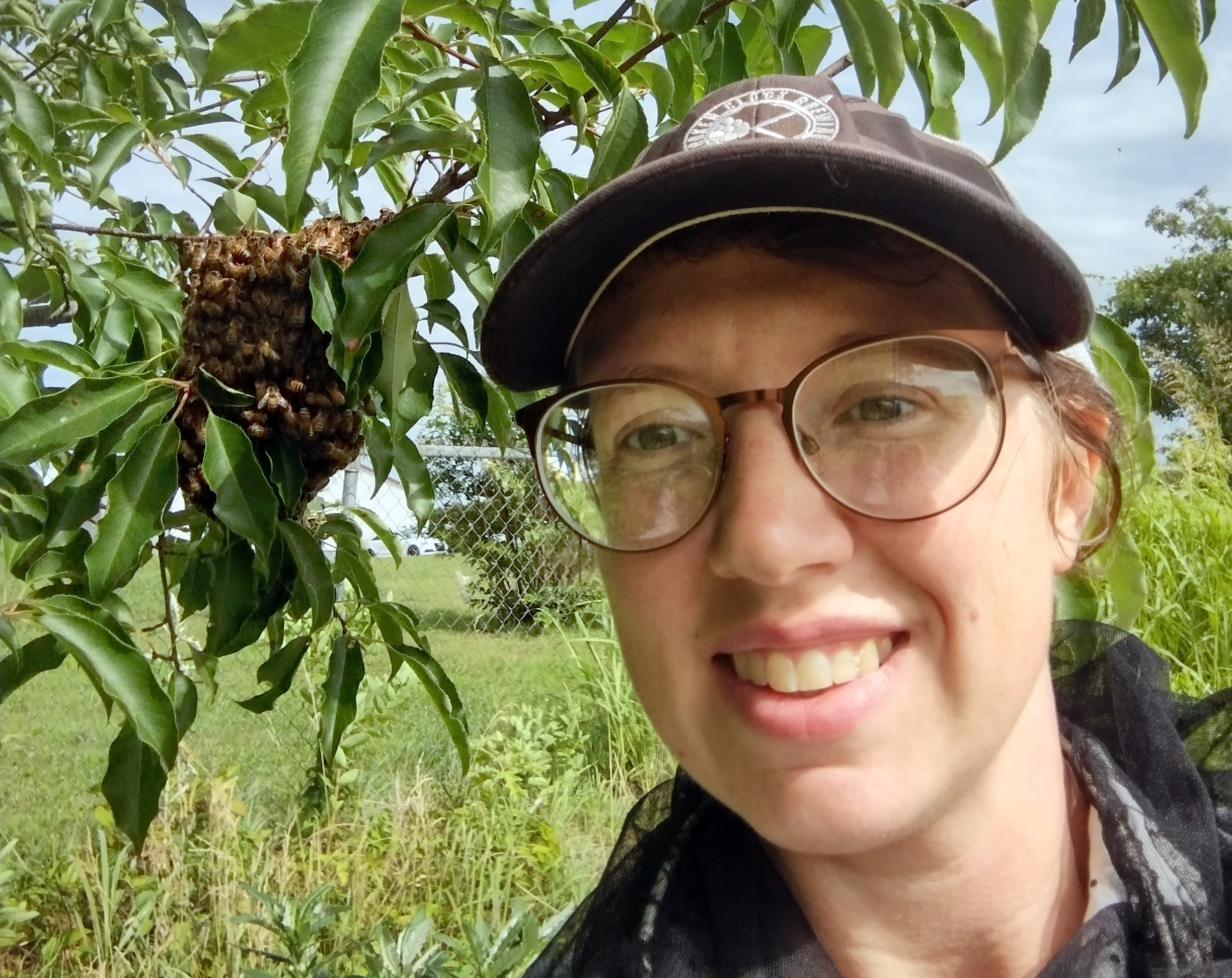 Hollie Dalenberg, wearing glasses and a hat, is taking a selfie next to a tree branch with a large cluster of bees. The background features a fence and grassy area with some trees.