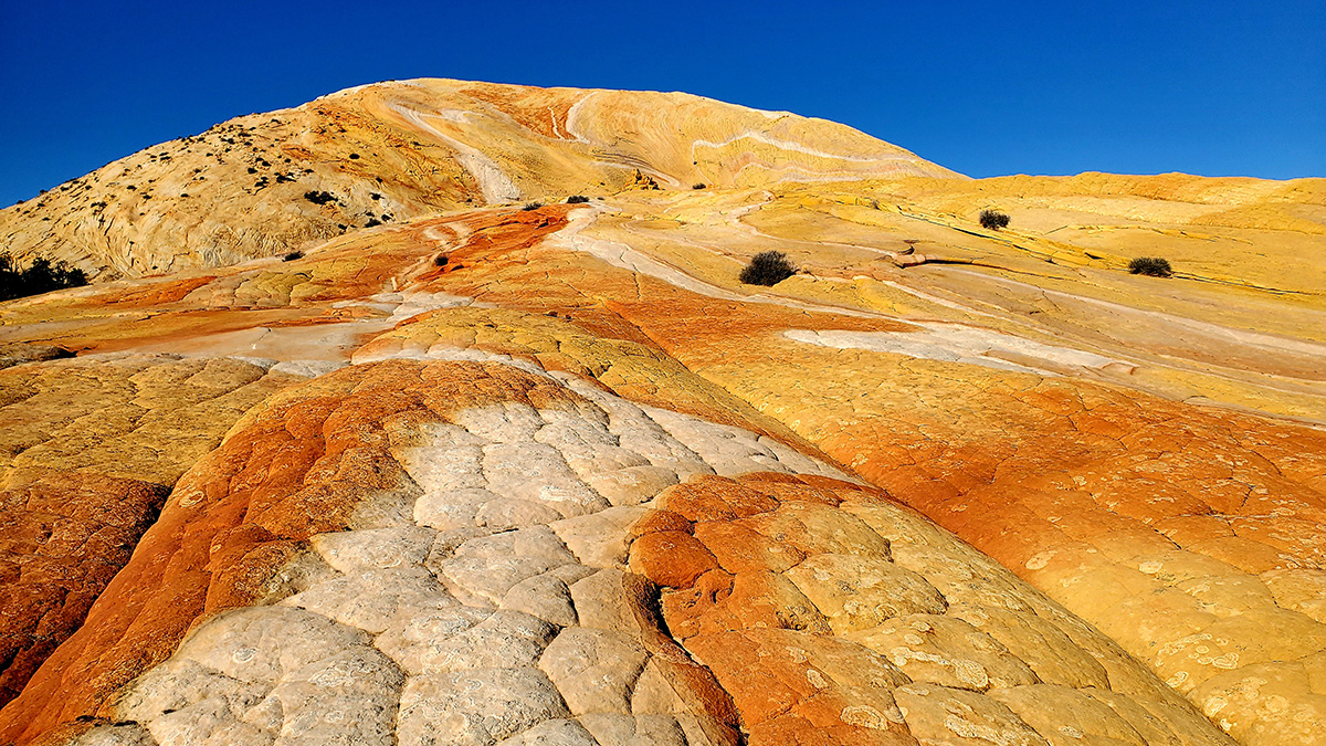 When Climate Ruled The Dinosaurs Of Grand Staircase Eos