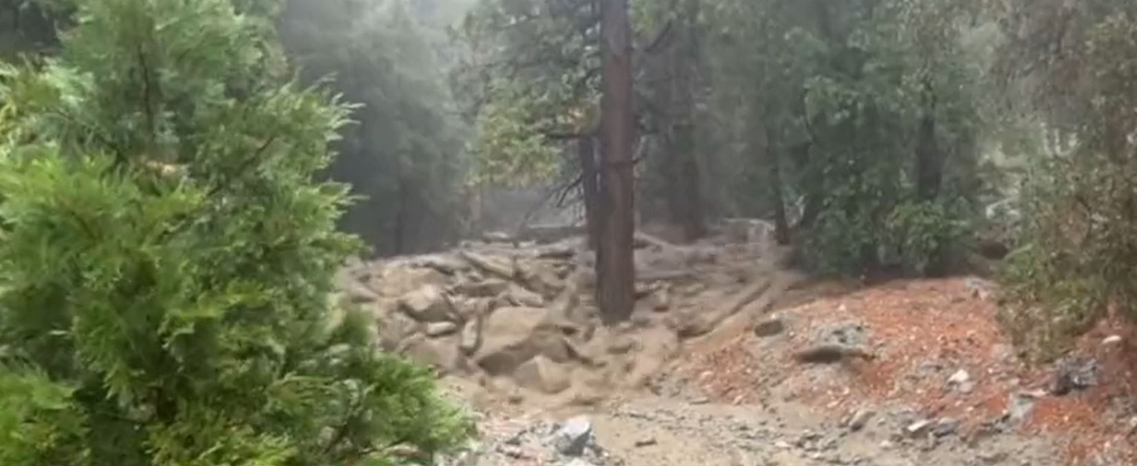 A debris flow triggered by Storm Hilary in Forest Falls, California. Still from a video posted to Twitter.