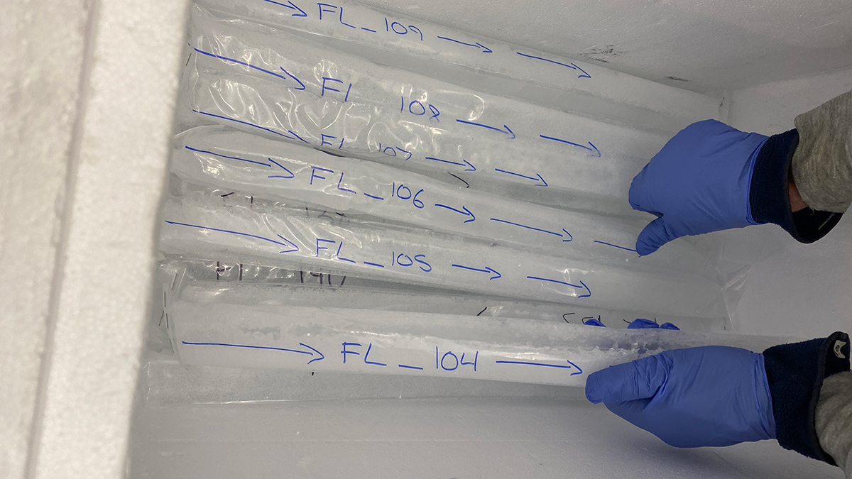 Several long tubes of ice in transparent plastic rest in a freezer. A pair of hands clad in blue gloves with black cuffs reaches down into the freezer. On the wrapper of each tube of ice is a label handwritten in blue—FL_104, FL_105, and so forth—as well as arrows pointing to one end of the ice.