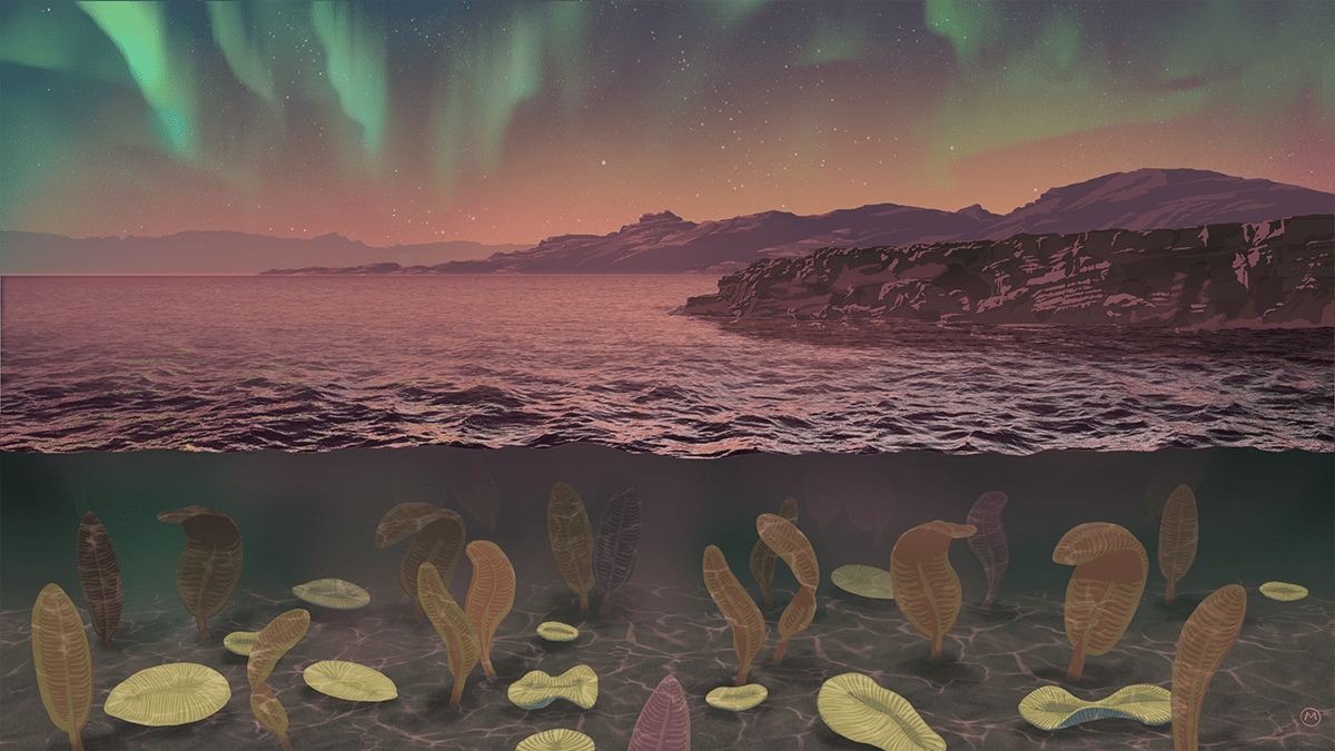 An illustration of plant life beneath the ocean with an aurora in the sky