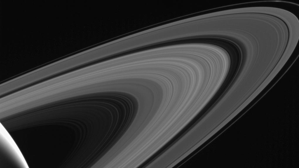 Las estrellas lejanas resaltan minilunas en los anillos de Saturno