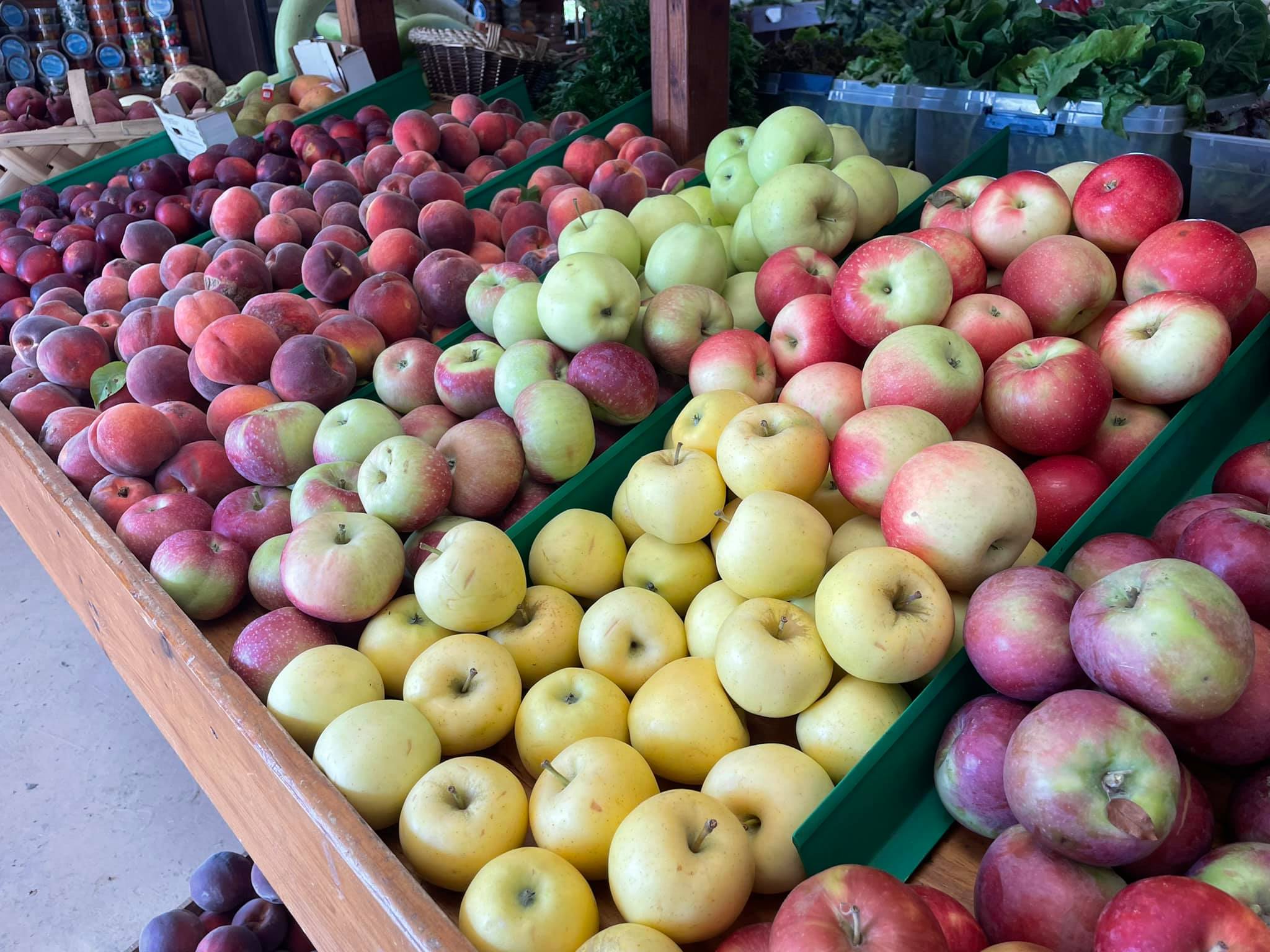 Fruit picking