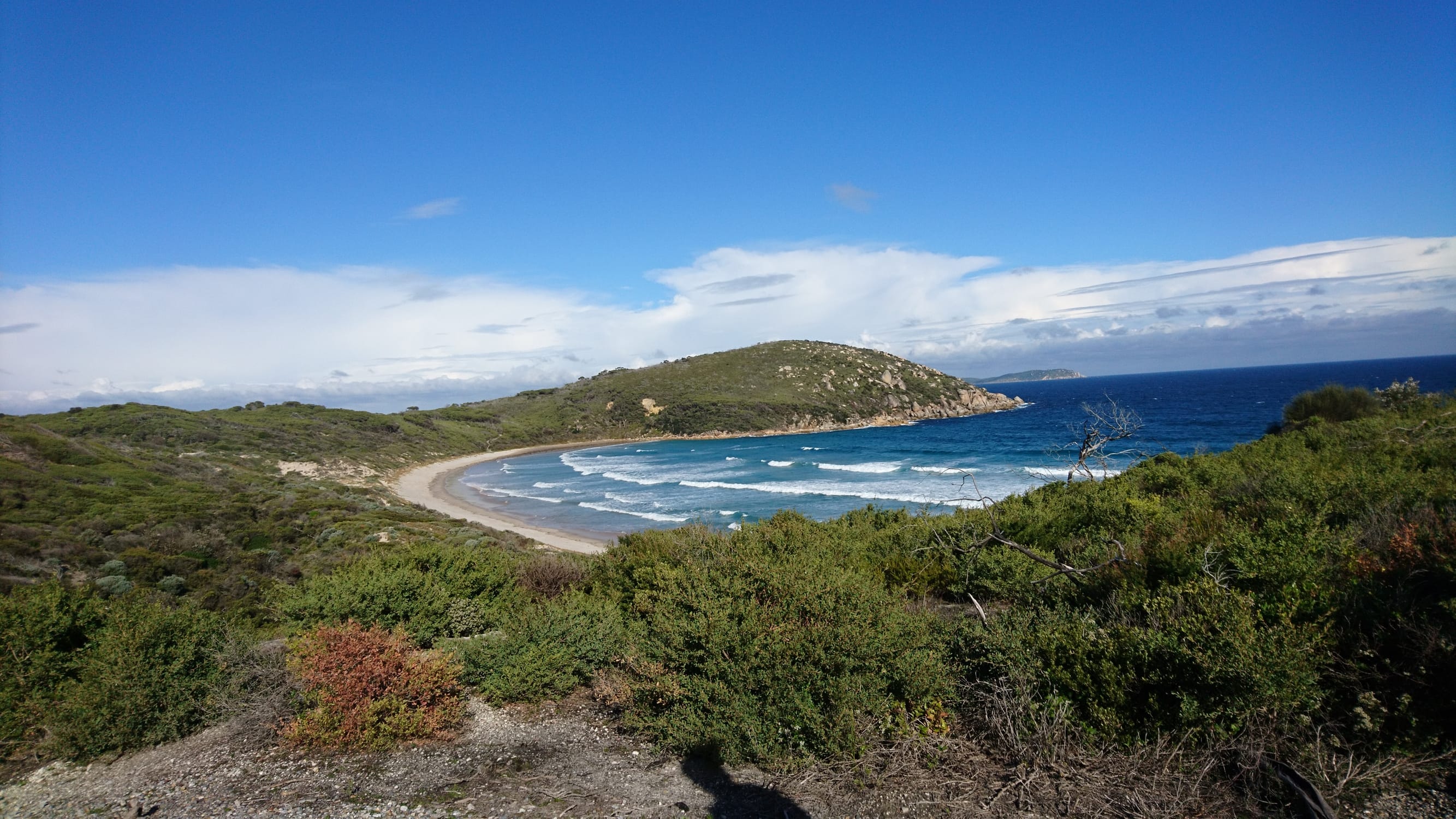 Wilsons promontory (wild wombats!)