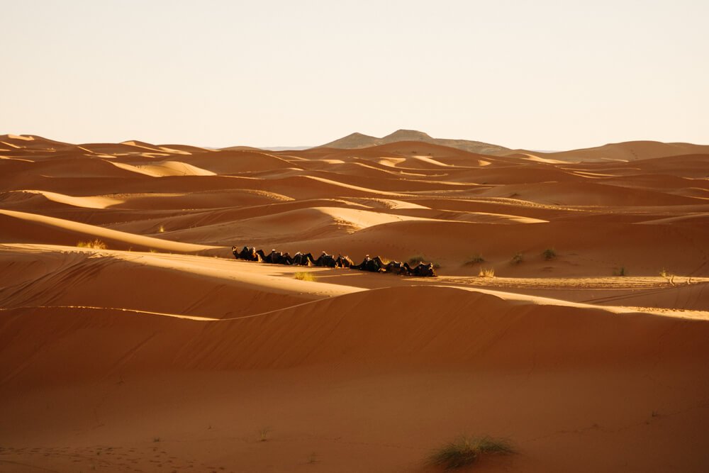 15 Things I Wish I Knew Before My Sahara Desert Tour Eternal Arrival