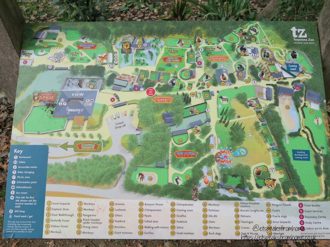 The Great Brick Safari At Twycross Zoo Et Speaks From Home