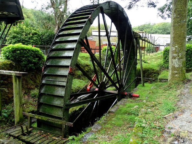 Wheal Martyn Explore Cornwall