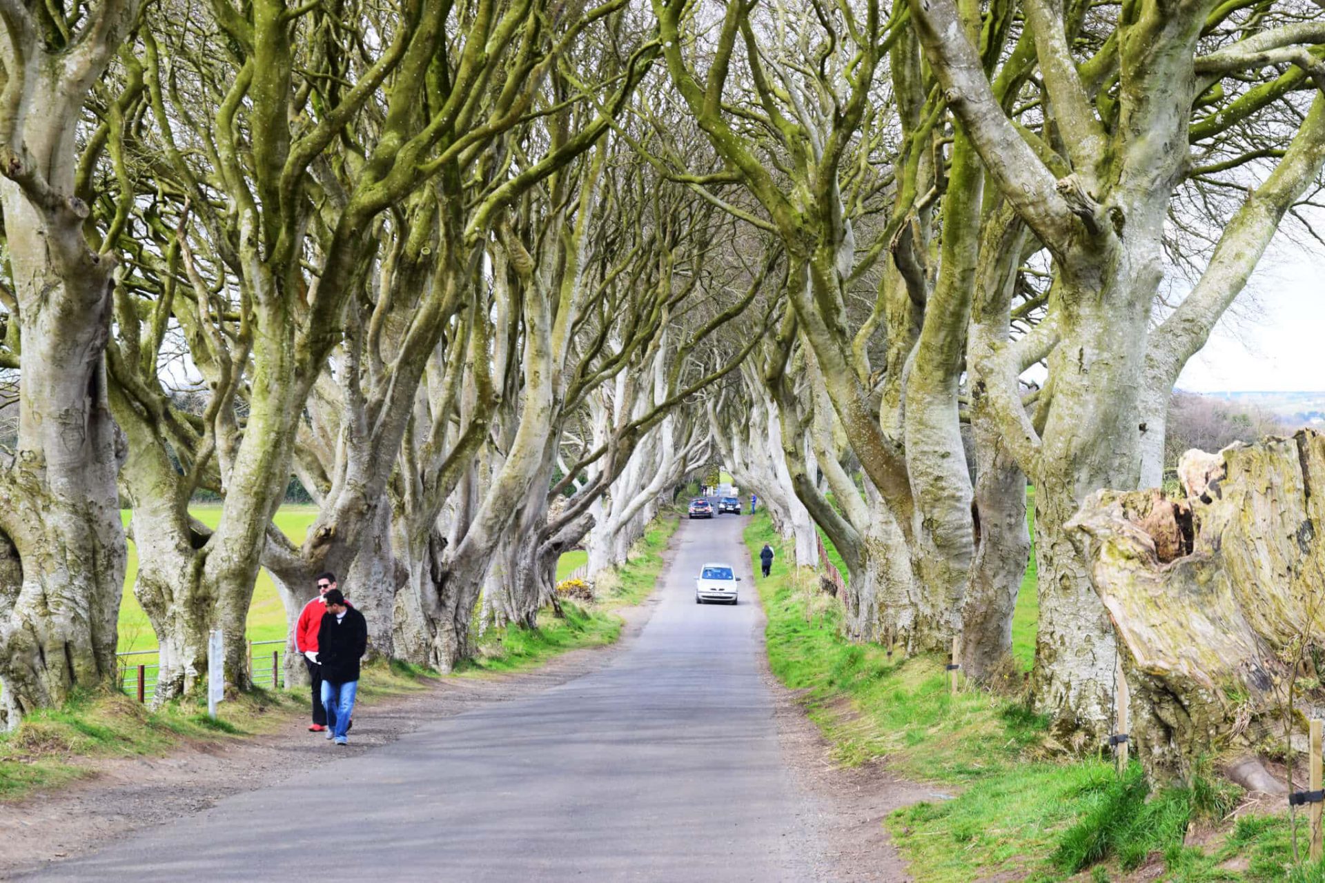NorthernIreland2