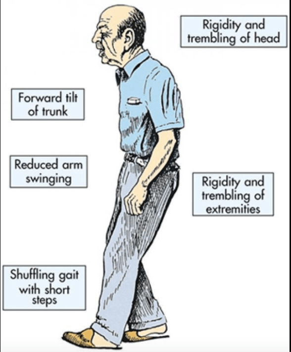 Old Free 120 (Step 2 CK) Step Prep (2023)