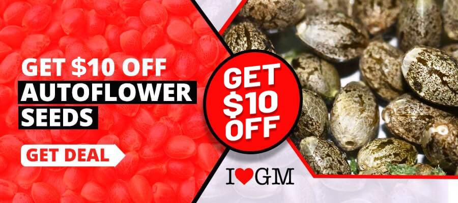 $10 OFF Autoflower Seeds ??' I Love Growing Marijuana Discount Code on ANY Auto-flowering Strain
