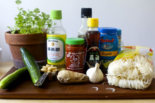 what you'll need, plus or minus the ant that crawled in with the pot (silly deb)