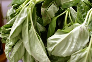 so much basil