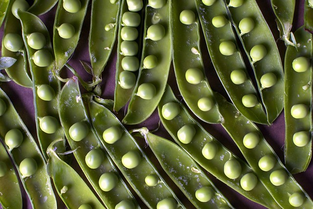 peas in pods and then more pods