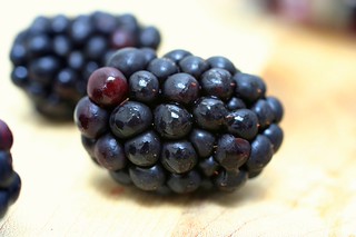 blackberries