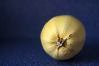 spaghetti squash