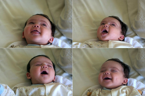 jacobfindsithilarious