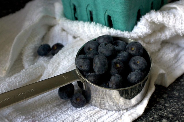 south jersey blueberries